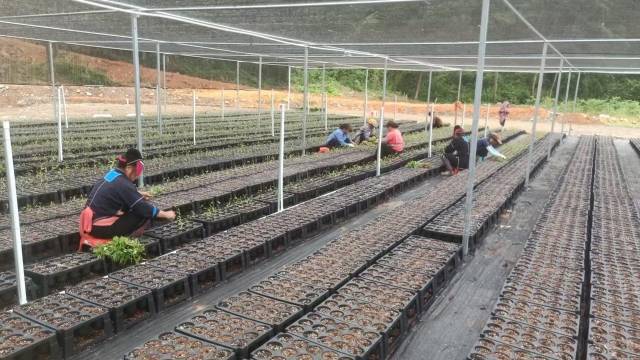 北山野“小辛香”如何迈向“大市场”AG真